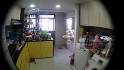 Blk 4 Tanjong Pagar Plaza (Central Area), HDB 3 Rooms #215734141